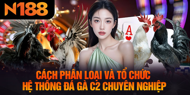 Cách Phân Loại Và Tổ Chức Hệ Thống Đá Gà C2 Chuyên Nghiệp