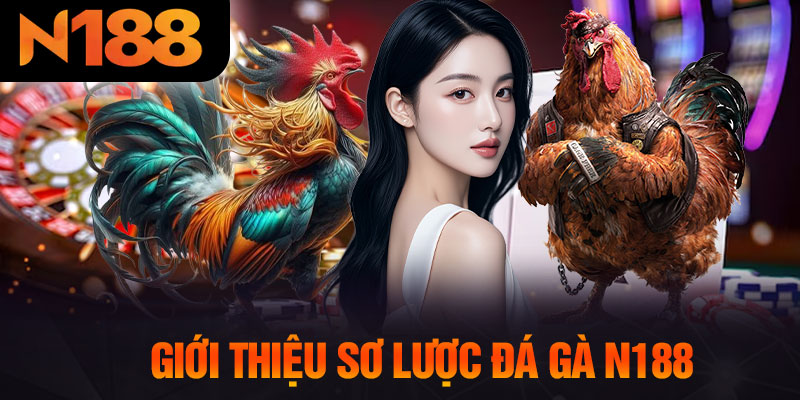 Giới Thiệu Sơ Lược Đá Gà N188
