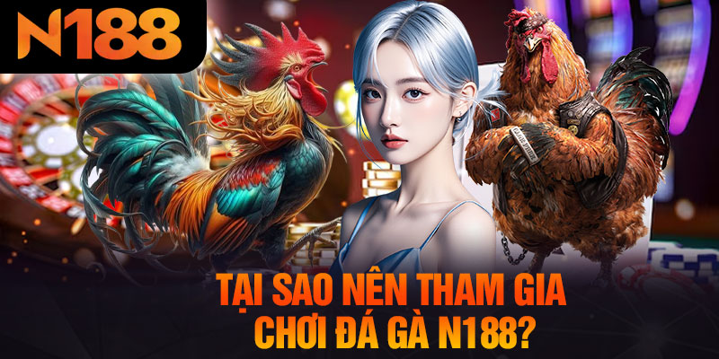 Tại Sao Nên Tham Gia Chơi Đá Gà N188?